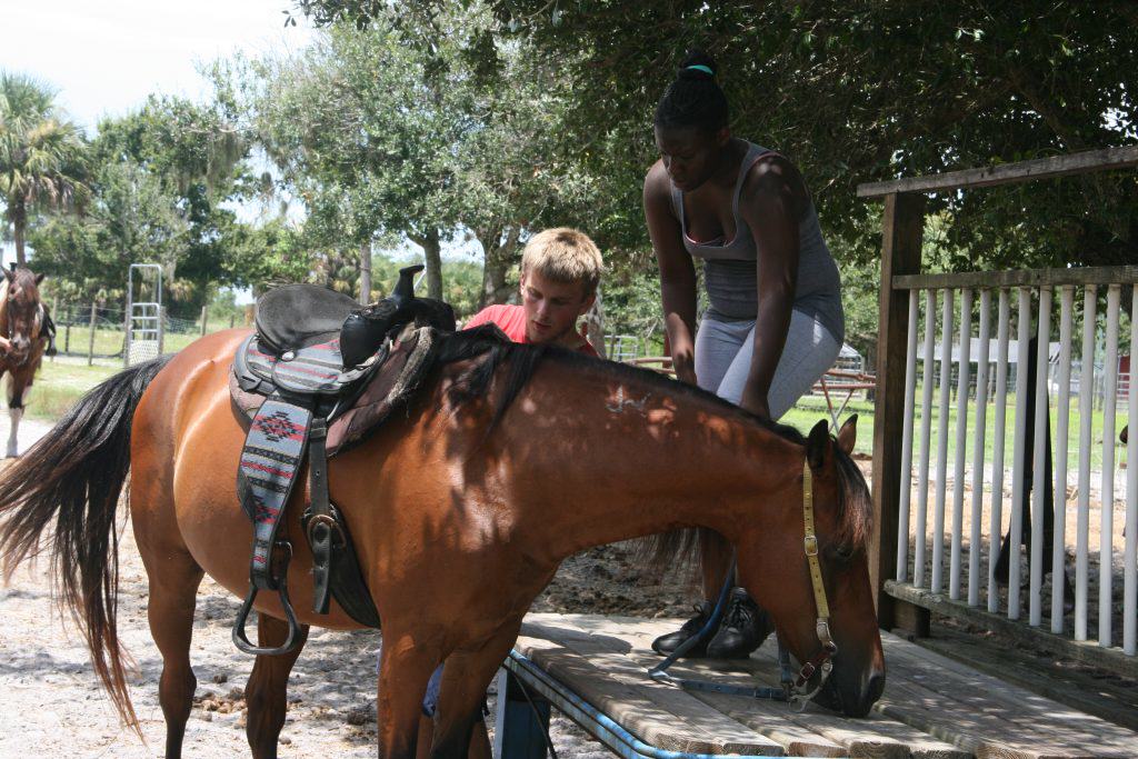 Sun City Stables