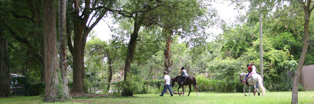 Sun City Stables