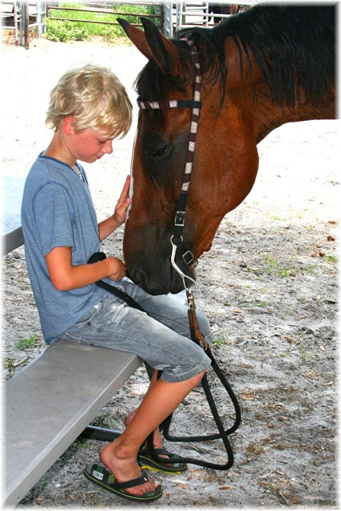 Sun City Stables