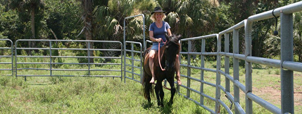 Sun City Stables