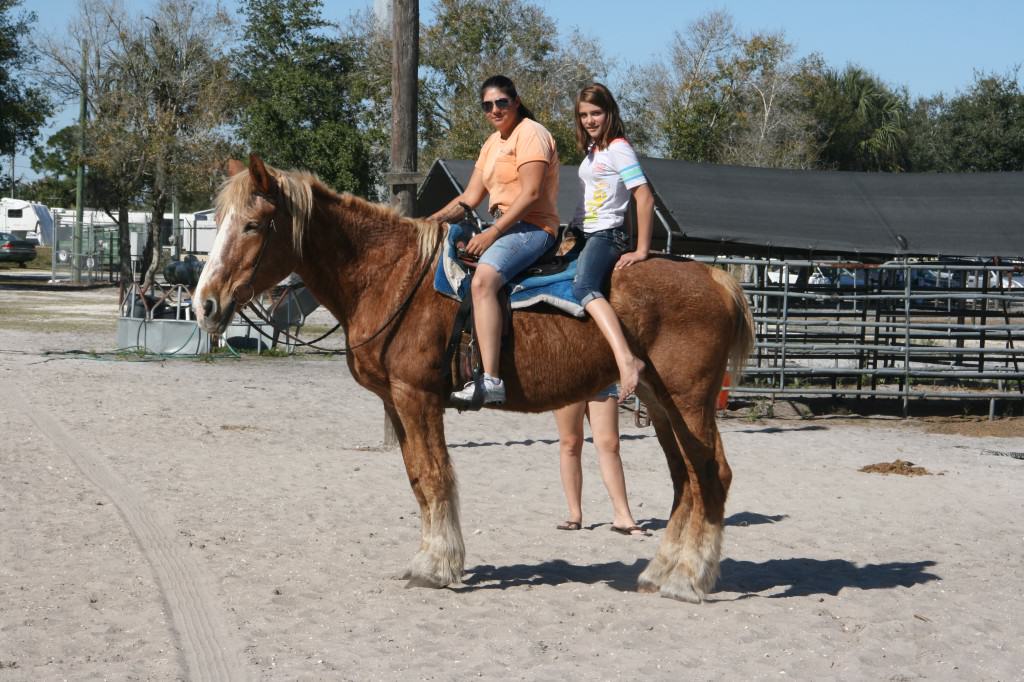 Sun City Stables