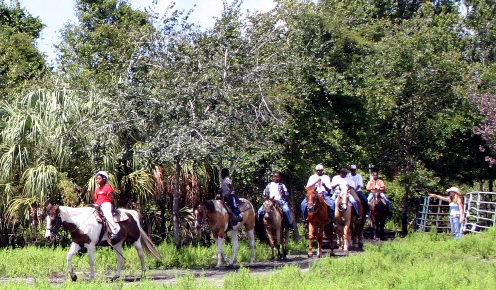 Sun City Stables