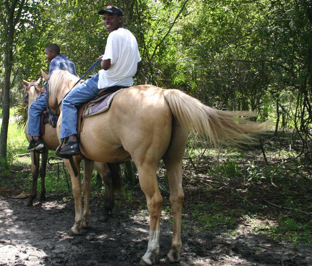 Sun City Stables