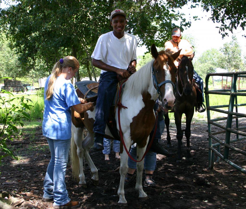 Sun City Stables