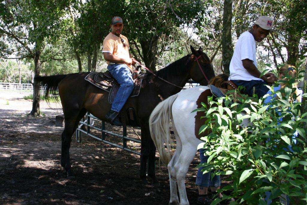 Sun City Stables