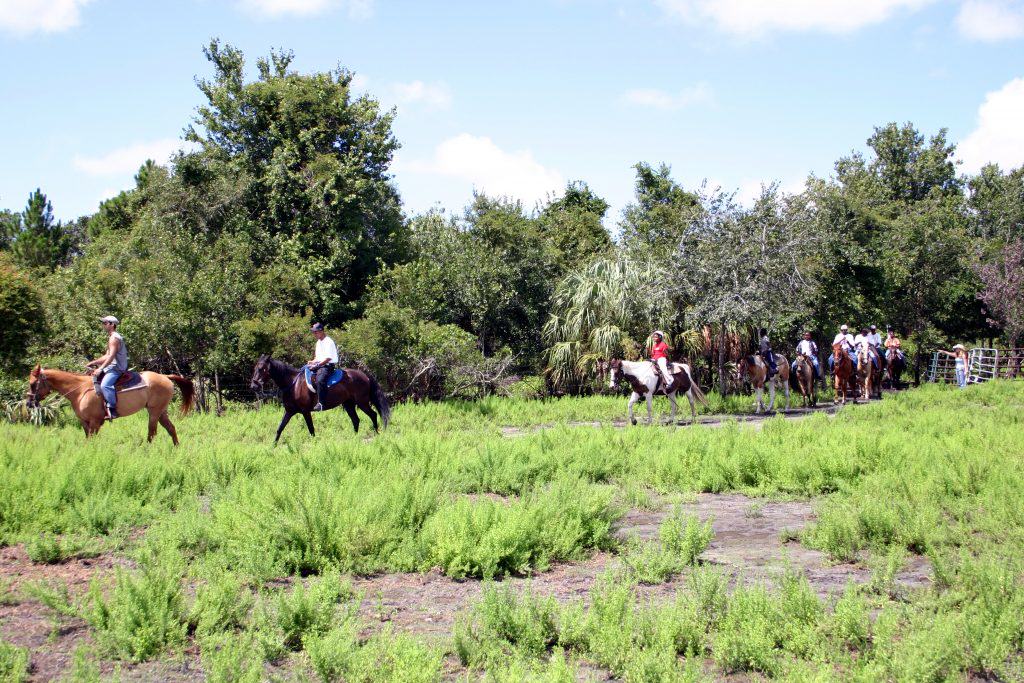 Sun City Stables