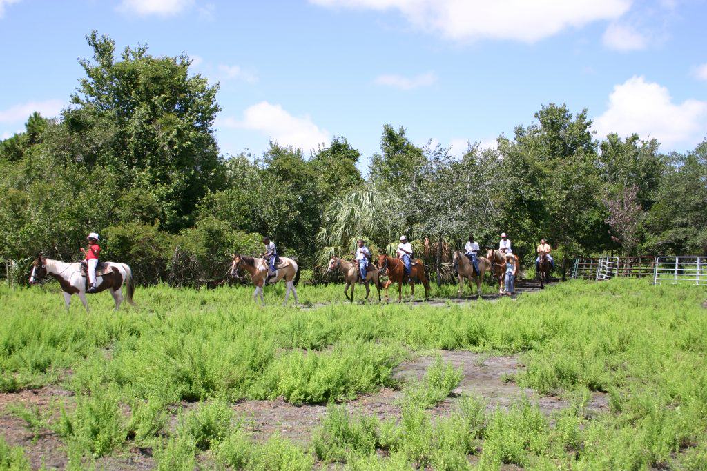 Sun City Stables