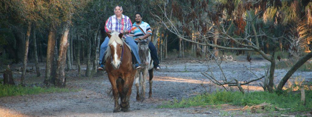 Sun City Stables