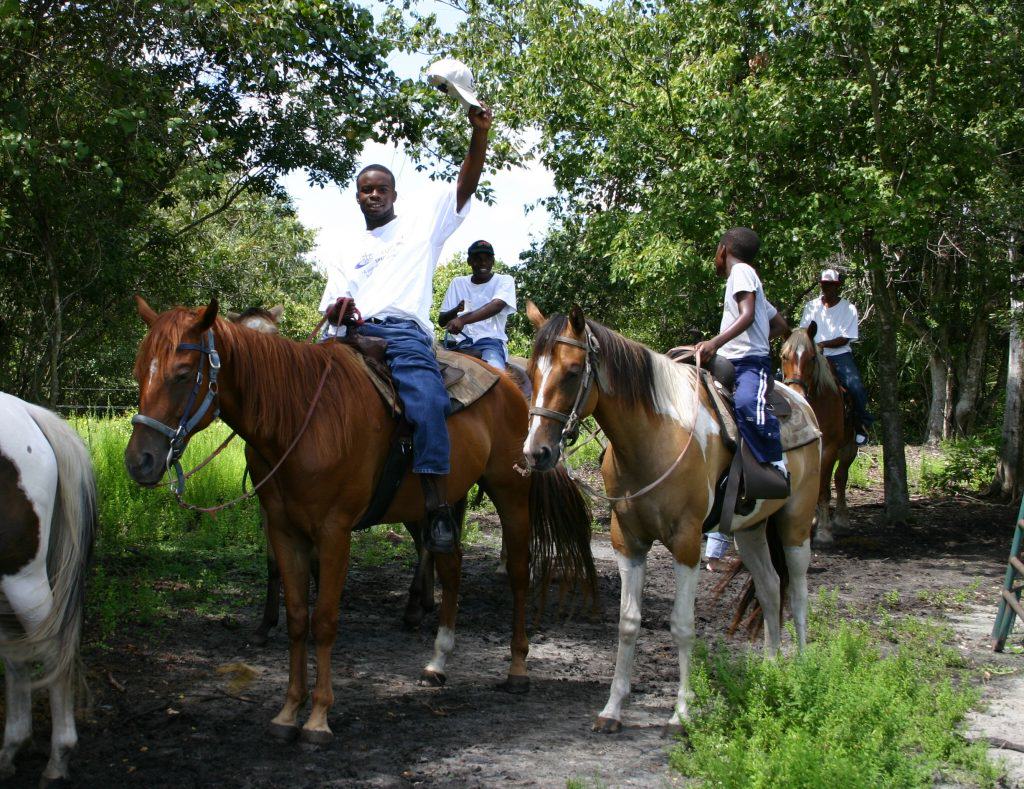 Sun City Stables