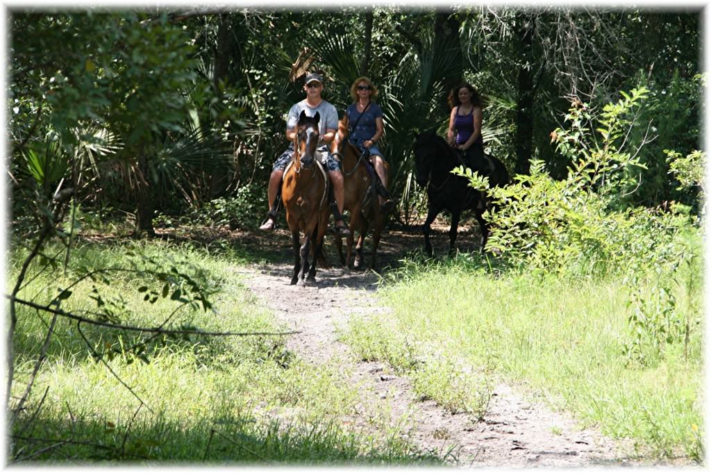 Sun City Stables