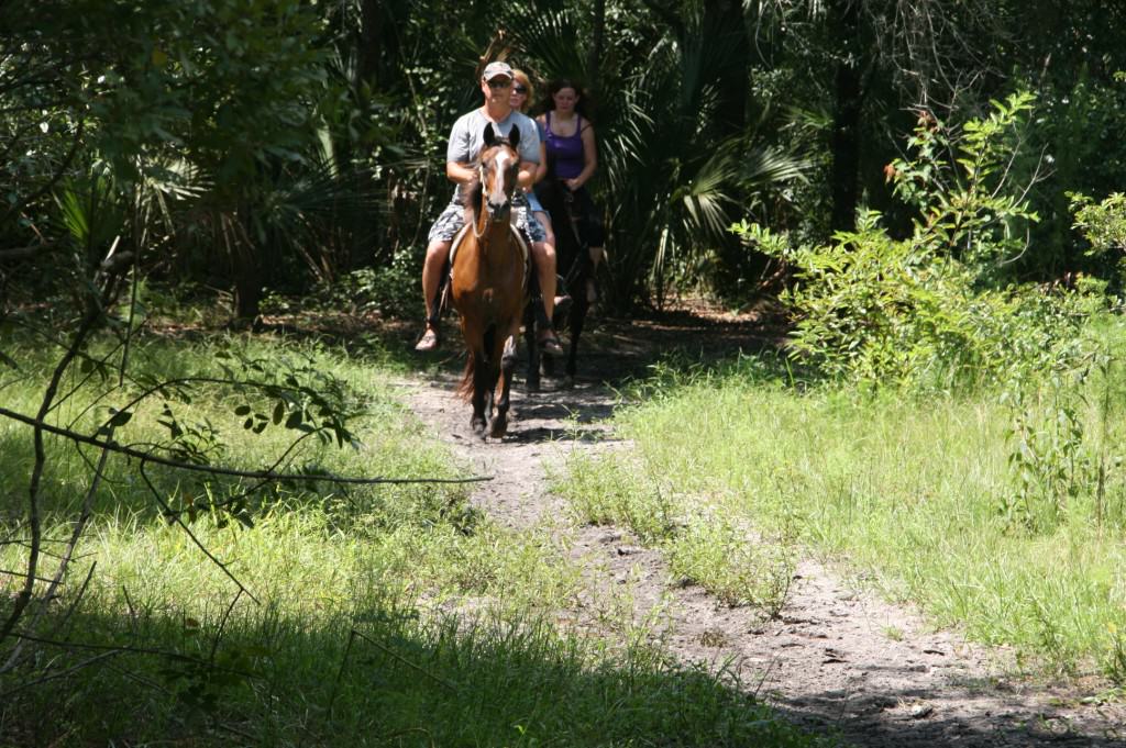 Sun City Stables