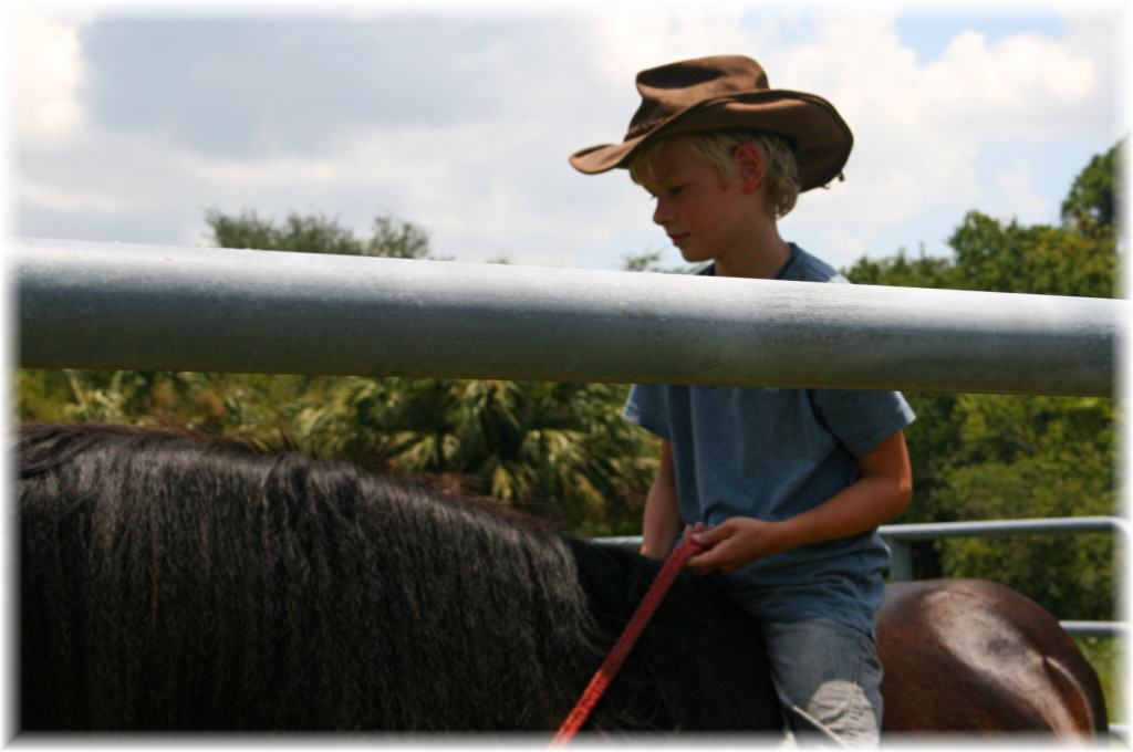 Sun City Stables