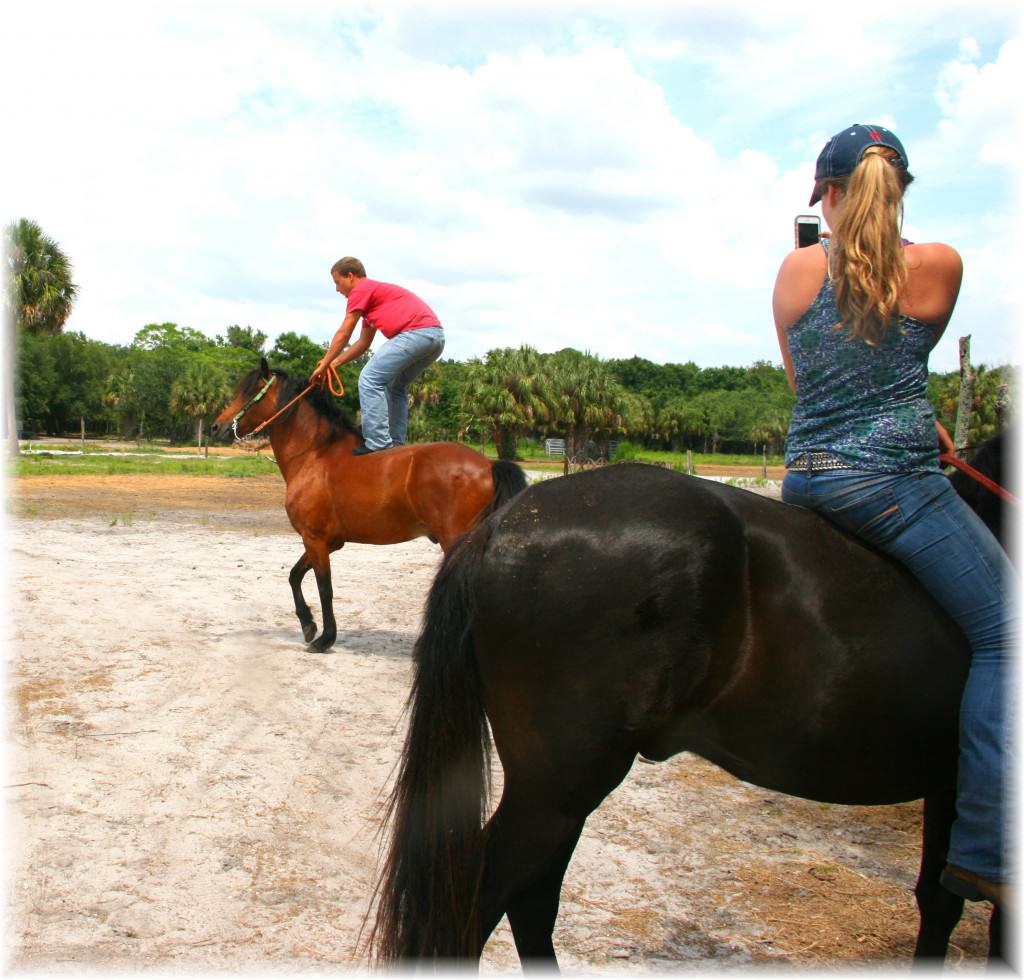 Sun City Stables