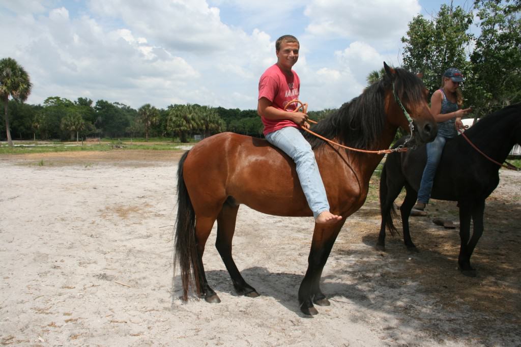 Sun City Stables