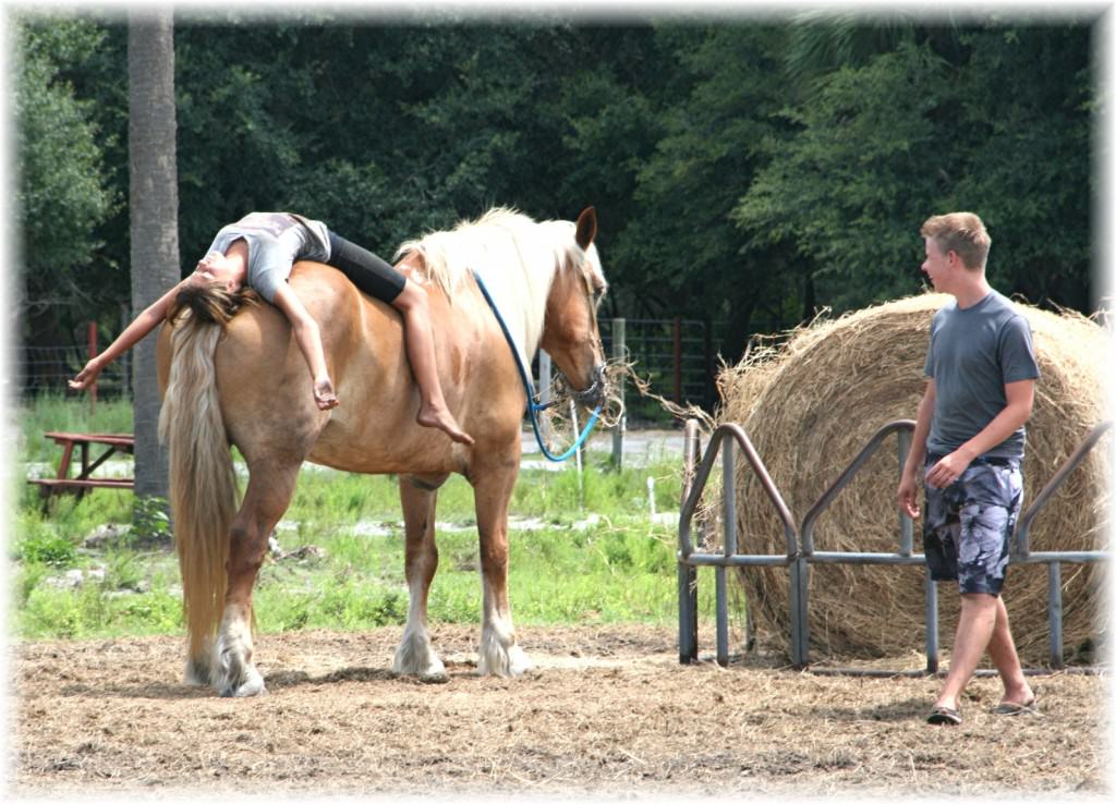 Sun City Stables