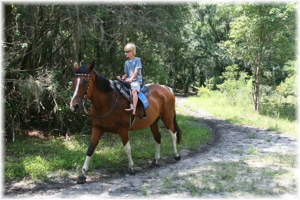 Sun City Stables