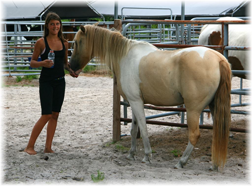 Sun City Stables