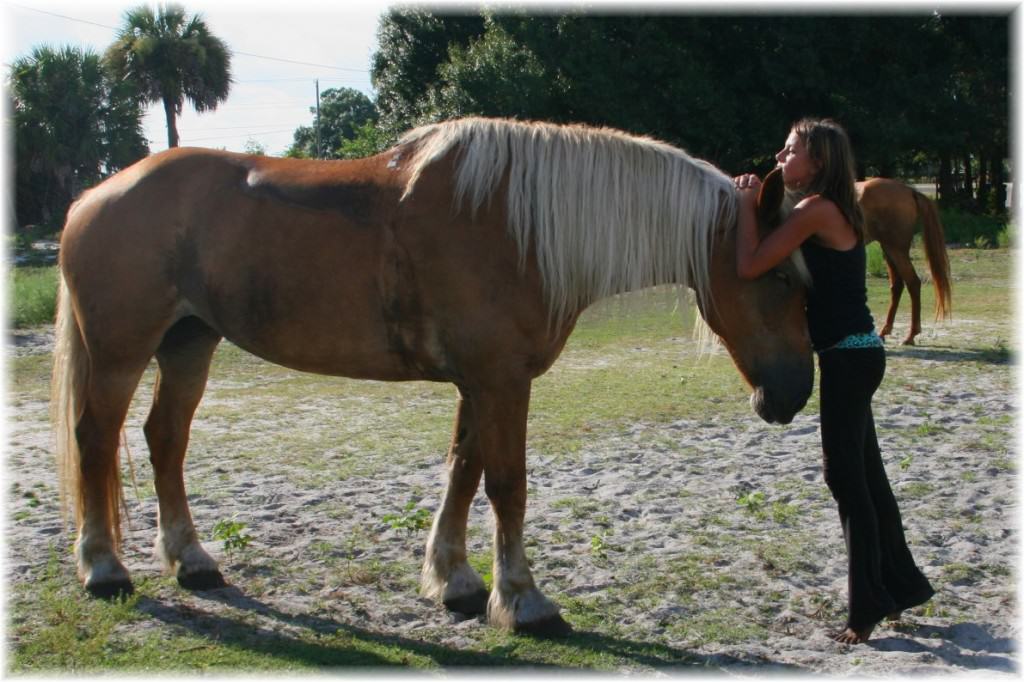 Sun City Stables