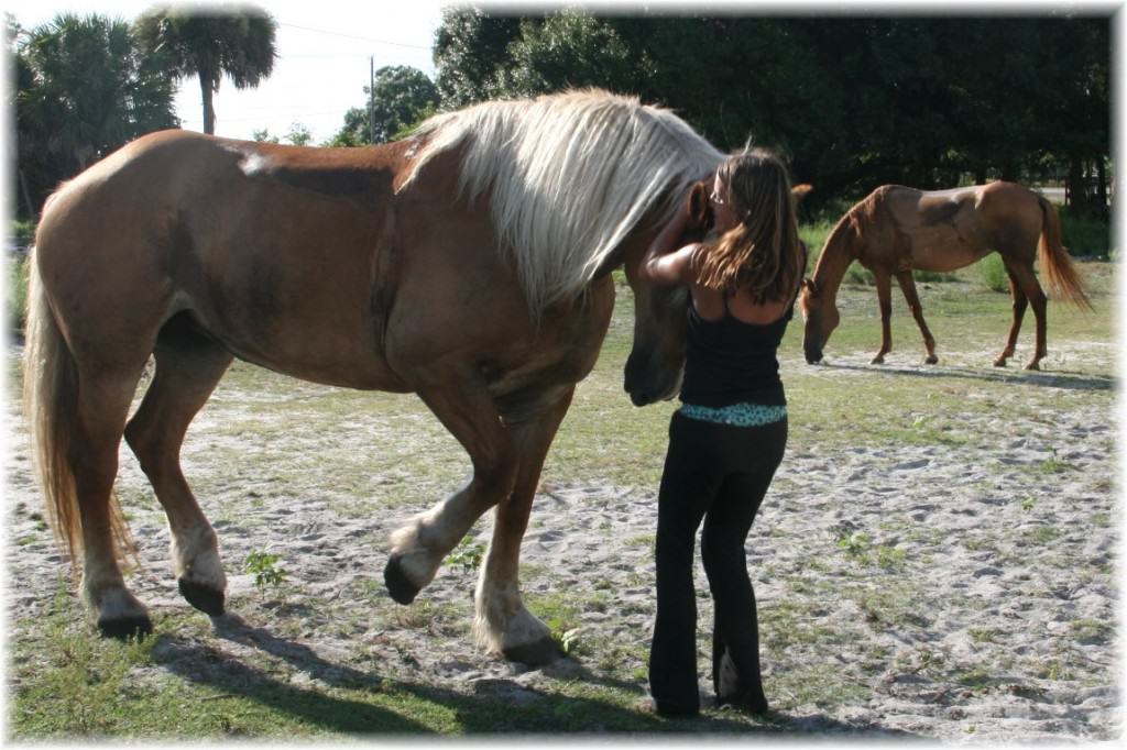 Sun City Stables