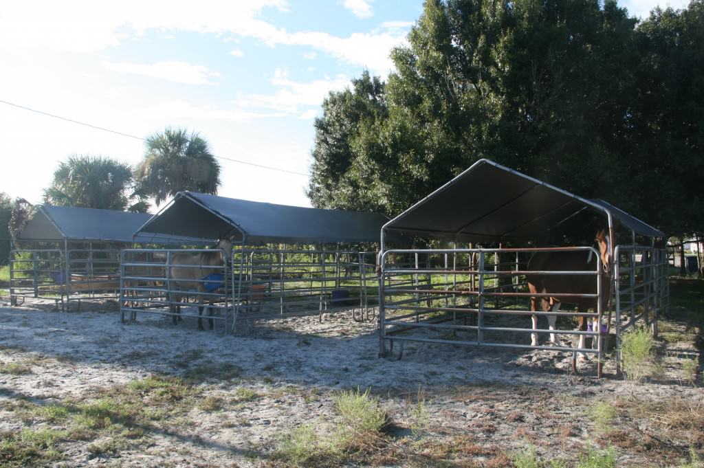 Sun City Stables