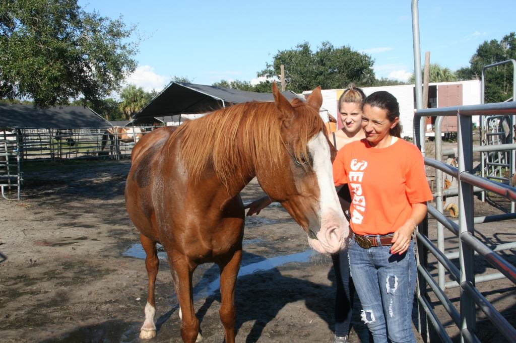 Sun City Stables