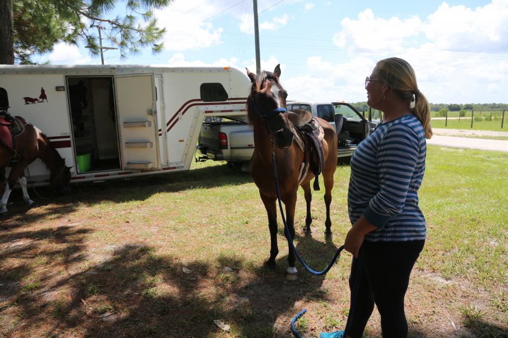 Sun City Stables