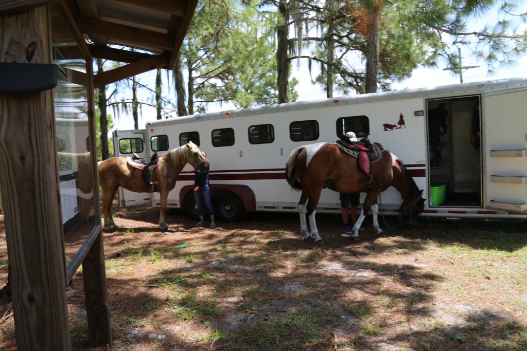 Sun City Stables