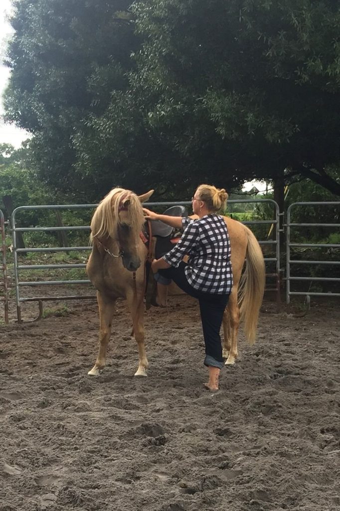 Sun City Stables