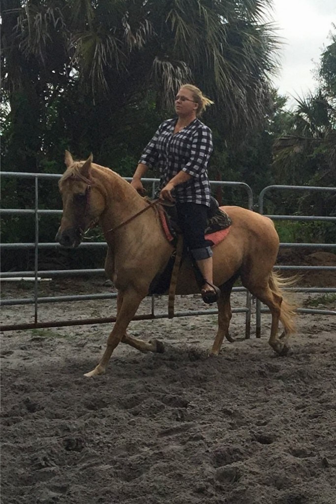 Sun City Stables