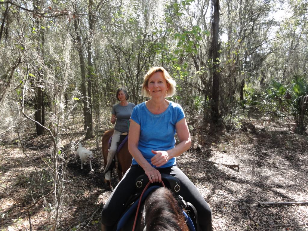 Sun City Stables