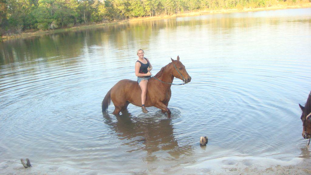 Sun City Stables