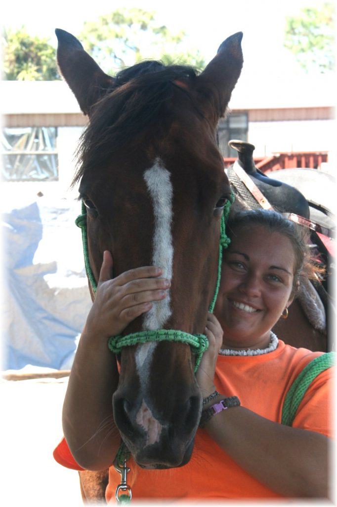 Sun City Stables