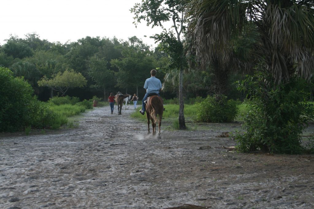 Sun City Stables