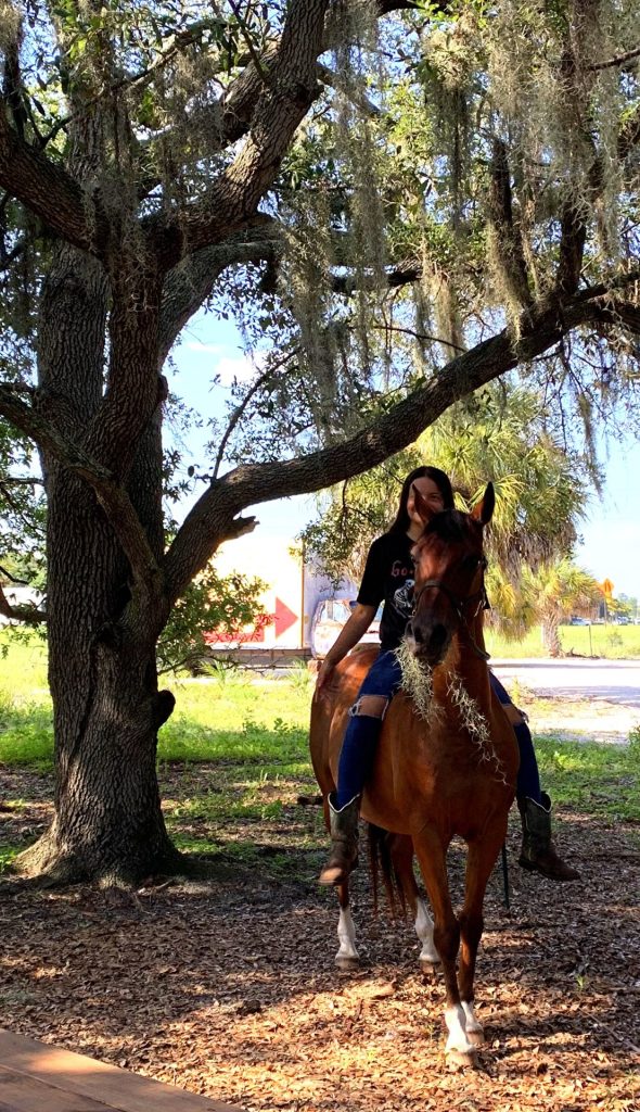 Sun City Stables