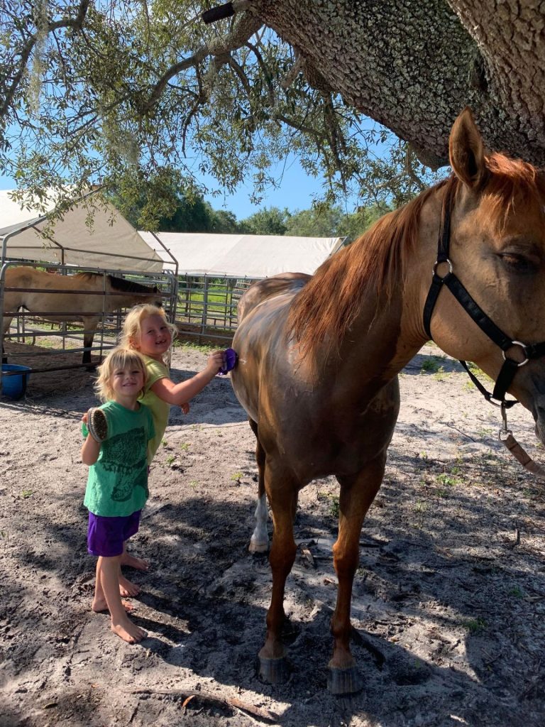 Sun City Stables