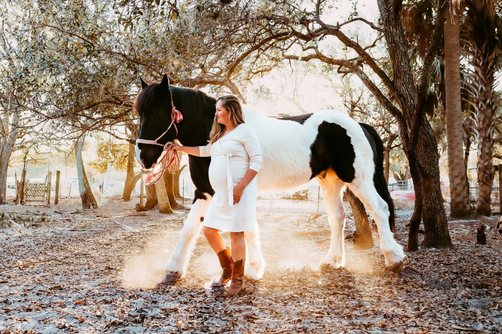 Sun City Stables